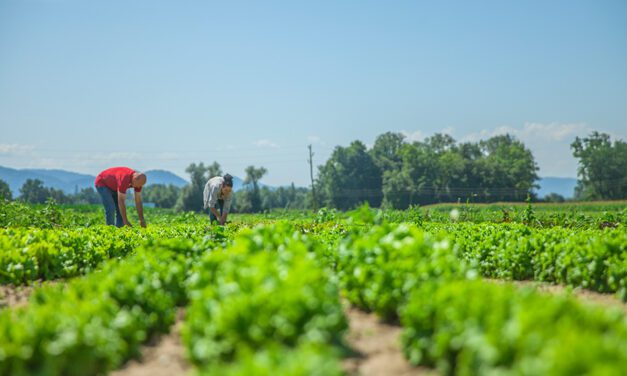Pequeños agricultores de O’Higgins se capacitan en el proceso de regularización sobre la tenencia de sus terrenos