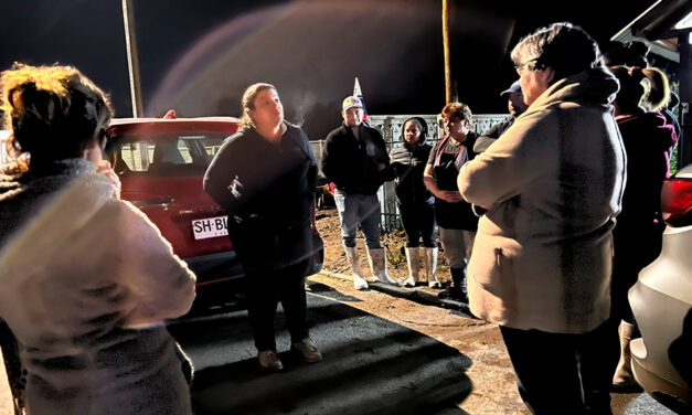 Lucro cesante: Diputada Natalia Romero exige a compañías eléctricas cubrir las pérdidas de los almacenes de barrio durante los días que no han podido abrir