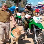 Balance de Carabineros en Fiestas Patrias XL: Siniestros viales disminuyeron un 32%