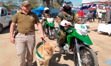 Balance de Carabineros en Fiestas Patrias XL: Siniestros viales disminuyeron un 32%