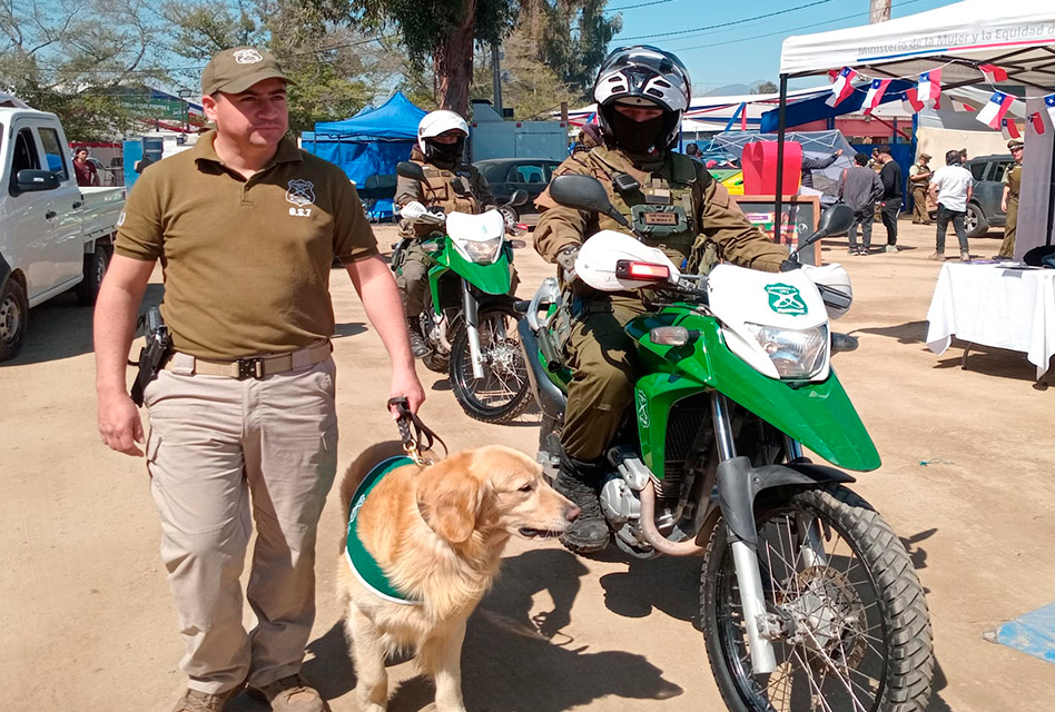 Balance de Carabineros en Fiestas Patrias XL: Siniestros viales disminuyeron un 32%