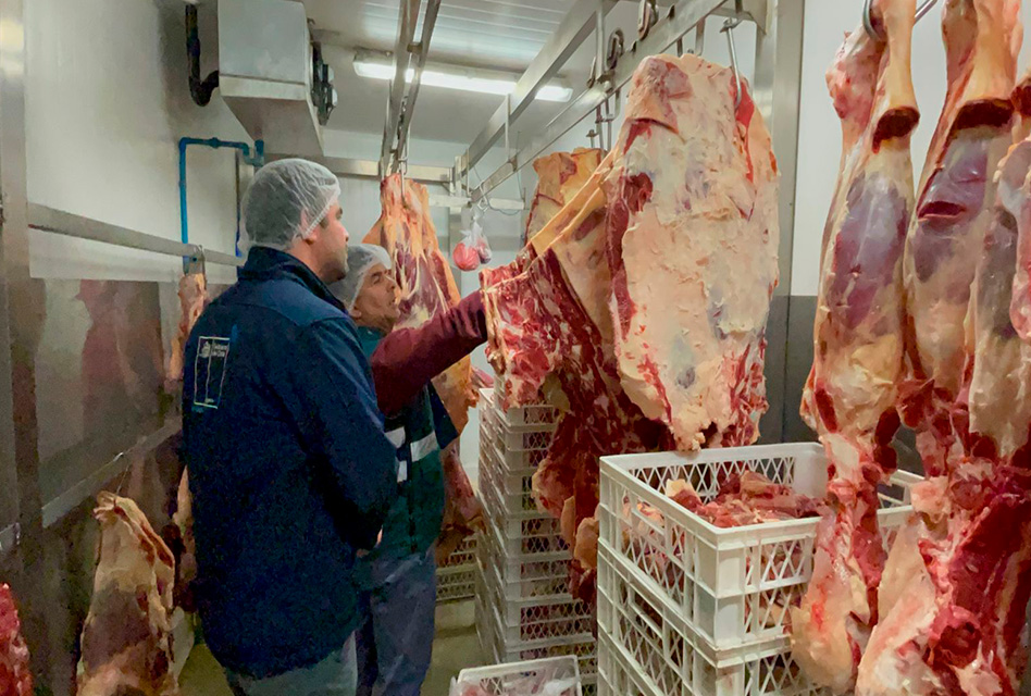 SAG O’Higgins aumenta fiscalizaciones en víspera de Fiestas Patrias