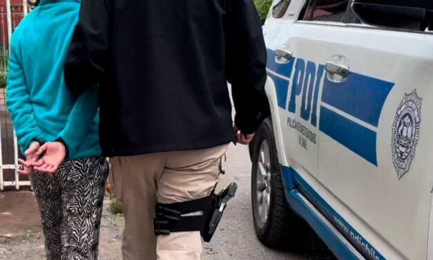 PDI desacredita versión de mujer que acusó homicidio de su pareja y establece que se trata de un parricidio
