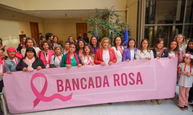 Parlamentarias conforman “Bancada Rosa” para abordar brechas en diagnóstico y tratamiento del cáncer en mujeres
