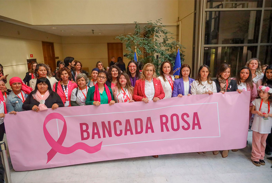 Parlamentarias conforman “Bancada Rosa” para abordar brechas en diagnóstico y tratamiento del cáncer en mujeres