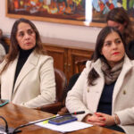 Diputadas de la Comisión de Mujer solicitan reforzar protección a víctimas de VIF tras nuevo caso de femicidio frustrado en Maipú