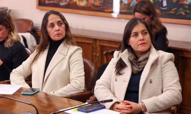 Diputadas de la Comisión de Mujer solicitan reforzar protección a víctimas de VIF tras nuevo caso de femicidio frustrado en Maipú
