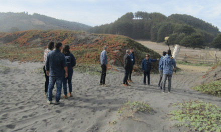 Bienes Nacionales intensifica fiscalizaciones a accesos a playas del borde costero en O’Higgins ante feriado de Semana Santa