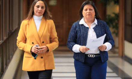 Diputadas de oposición acusan abandono del Estado por aumento de campamentos y llaman al Ejecutivo a “no seguir postergando el problema”