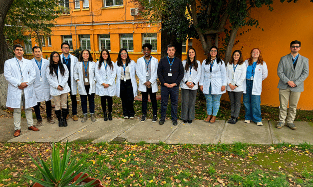 23 nuevos médicos especialistas se suman a la red pública de salud en O’Higgins