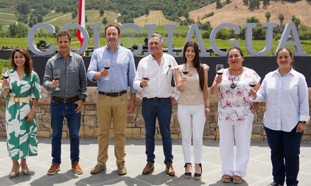 Santa Cruz la capital de las vendimias de Chile: Anuncia su versión 26° de La Fiesta de la Vendimia del Valle de Colchagua