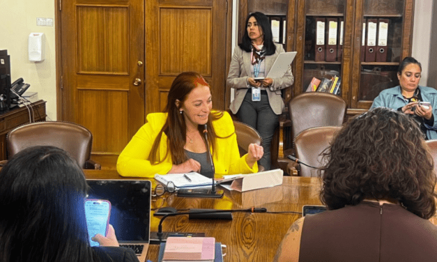 Diputada Carolina Cucumides exige presencia del director nacional de obras portuarias en Caleta Bucalemu 
