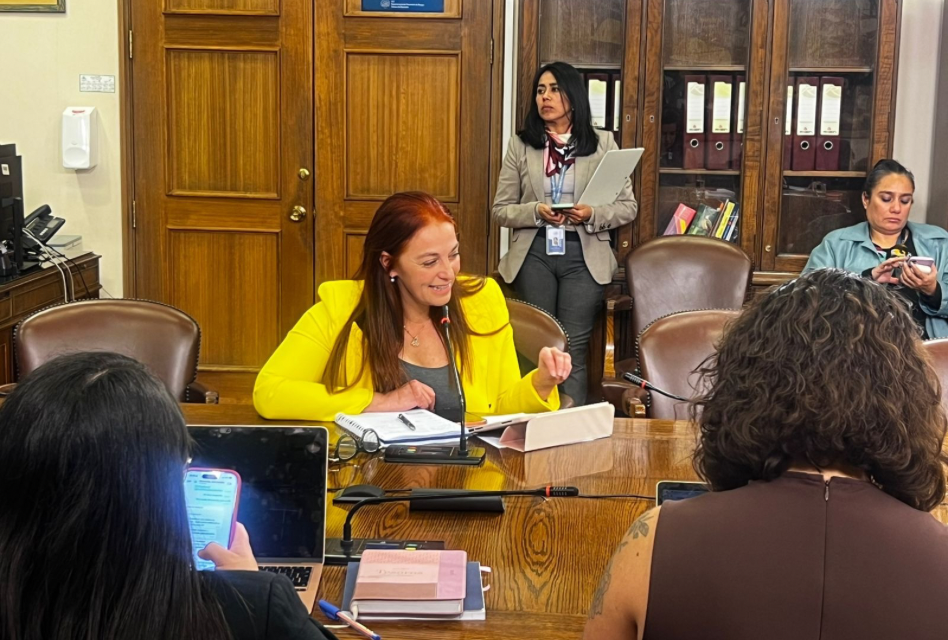 Diputada Carolina Cucumides exige presencia del director nacional de obras portuarias en Caleta Bucalemu 