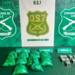O.S.7 Cachapoal detiene a tres personas e incauta drogas, hoja de coca y cigarrillos de contrabando en controles carreteros