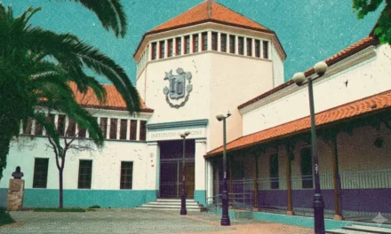 Sombras en el patio: denuncian tráfico de imágenes íntimas de alumnas en el Colegio Marista en Rancagua